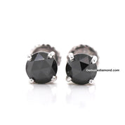 1 Carat Round Black Diamond Stud Earrings in White Gold