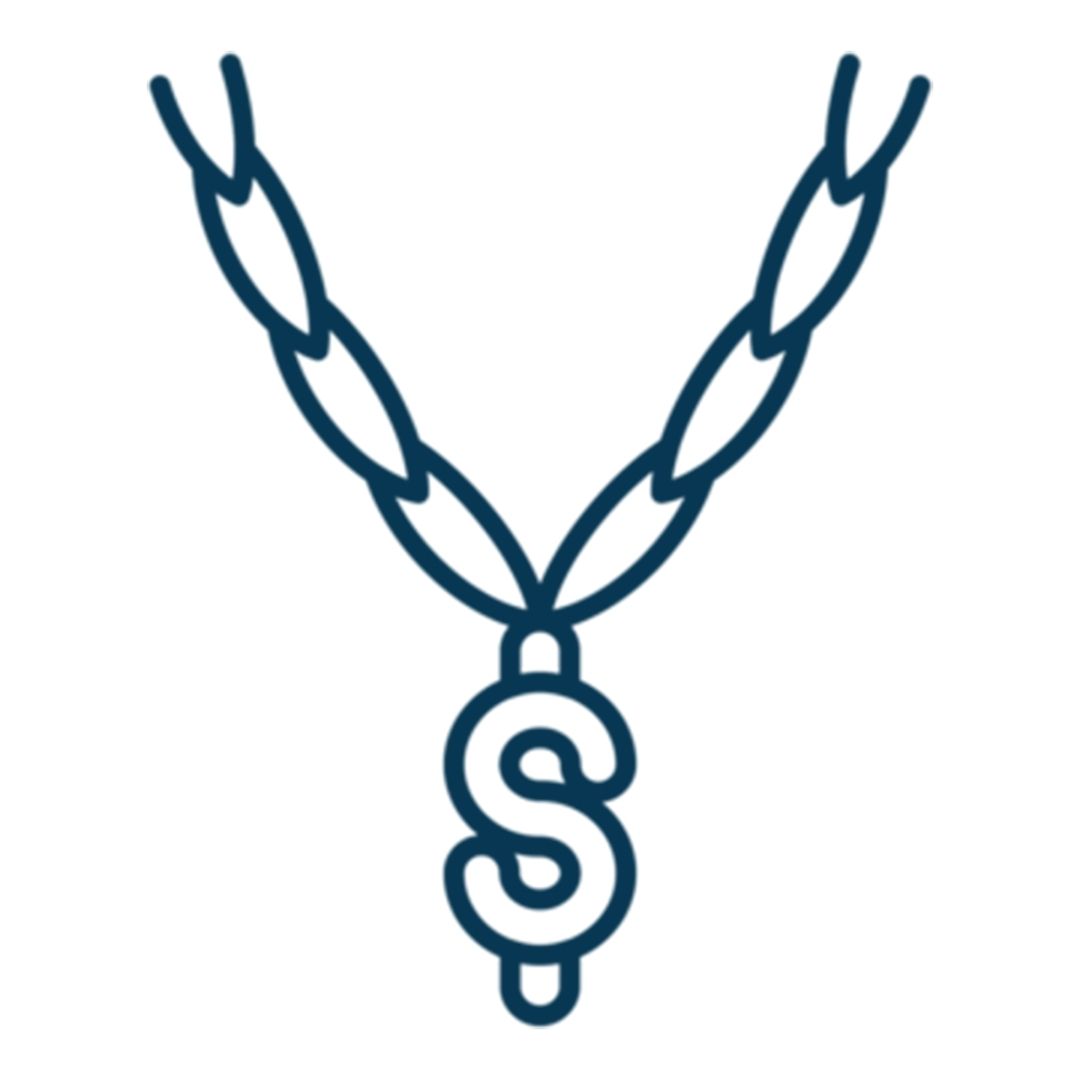 Hip Hop Jewelry icon